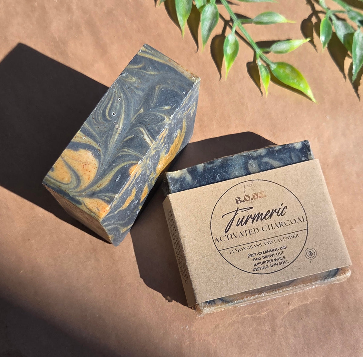 Activated Charcoal